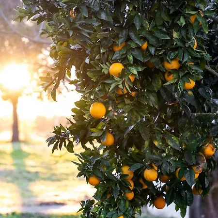 Na Quinta- Rural Com Piscina De Agua Salgada Poceirao