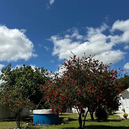 Na Quinta- Rural Com Piscina De Agua Salgada Hébergement de vacances Poceirao