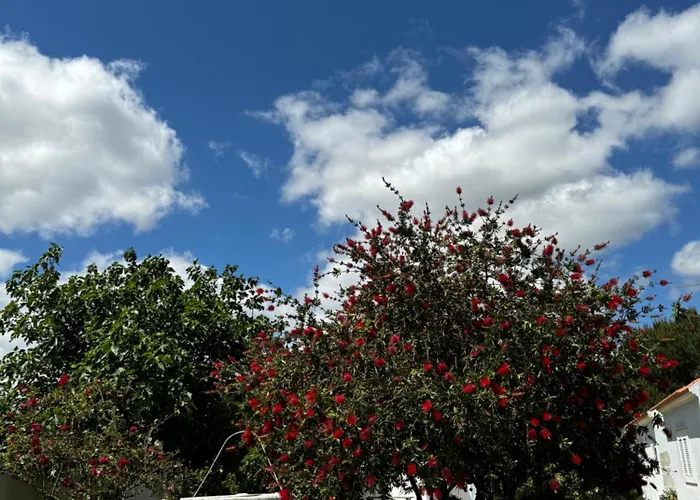 Na Quinta- Rural Com Piscina De Agua Salgada Prázdninový dům Poceirao